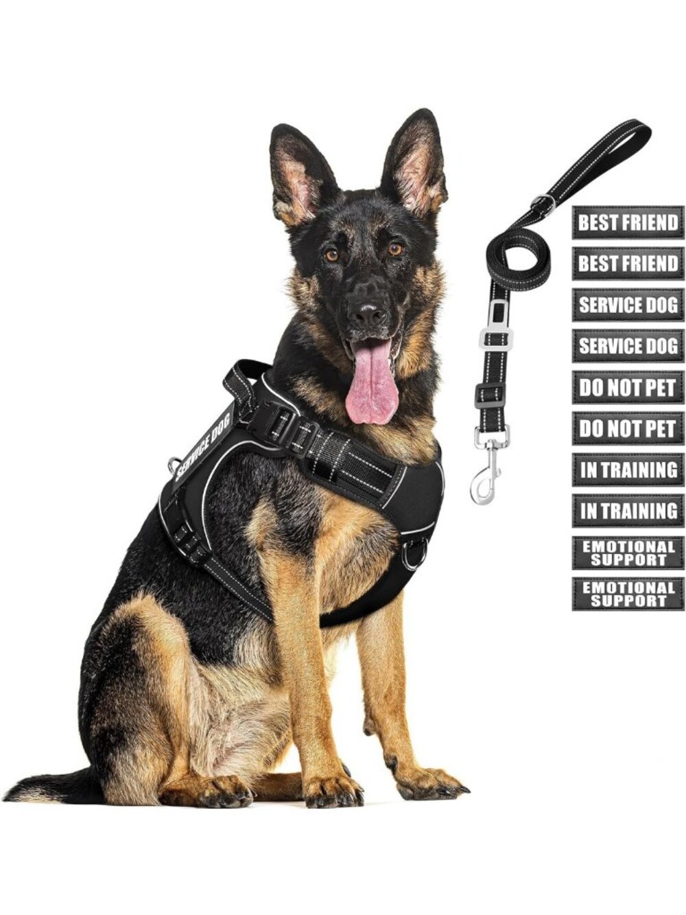 Adjustable Tactical Dog Harness & Leash Set with 10 Custom Patches for Large